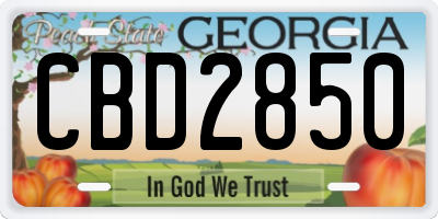 GA license plate CBD2850