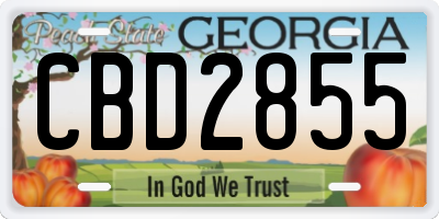 GA license plate CBD2855