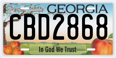 GA license plate CBD2868