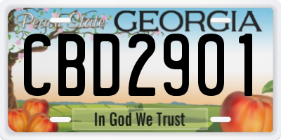 GA license plate CBD2901