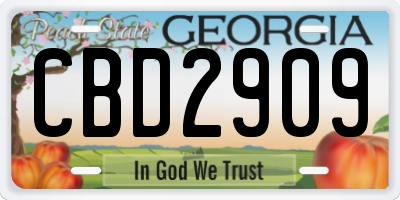 GA license plate CBD2909