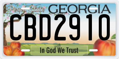 GA license plate CBD2910
