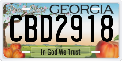 GA license plate CBD2918