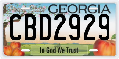 GA license plate CBD2929