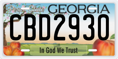 GA license plate CBD2930