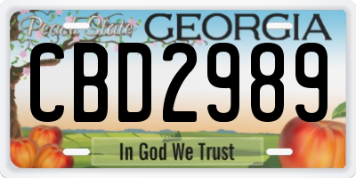 GA license plate CBD2989