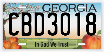GA license plate CBD3018