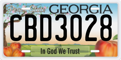 GA license plate CBD3028