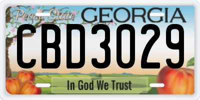 GA license plate CBD3029