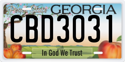 GA license plate CBD3031