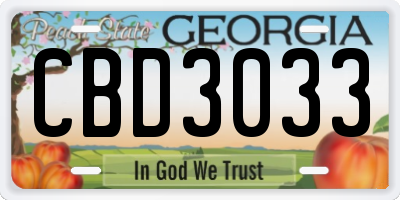 GA license plate CBD3033