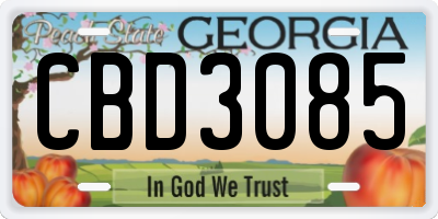GA license plate CBD3085