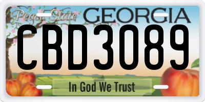 GA license plate CBD3089