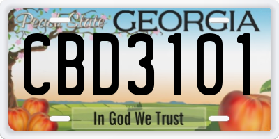 GA license plate CBD3101
