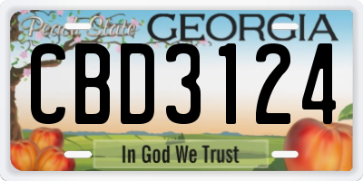 GA license plate CBD3124
