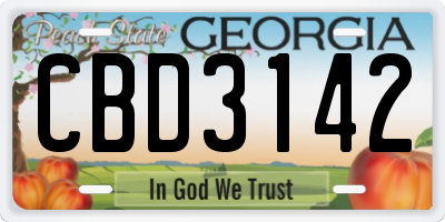 GA license plate CBD3142