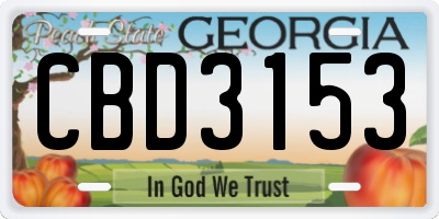 GA license plate CBD3153