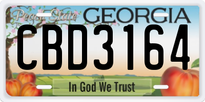 GA license plate CBD3164
