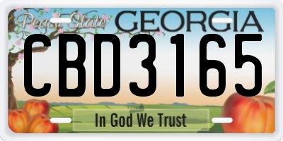 GA license plate CBD3165