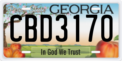 GA license plate CBD3170