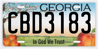 GA license plate CBD3183