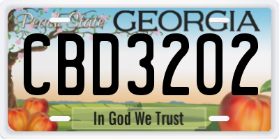 GA license plate CBD3202