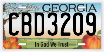 GA license plate CBD3209