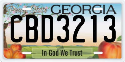 GA license plate CBD3213