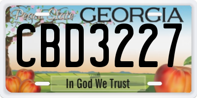 GA license plate CBD3227