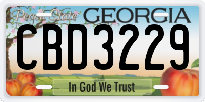 GA license plate CBD3229