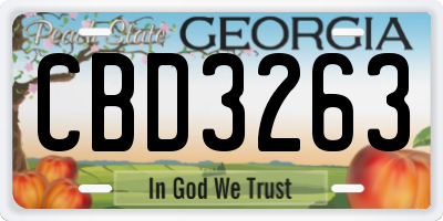 GA license plate CBD3263
