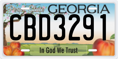 GA license plate CBD3291
