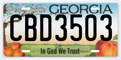 GA license plate CBD3503