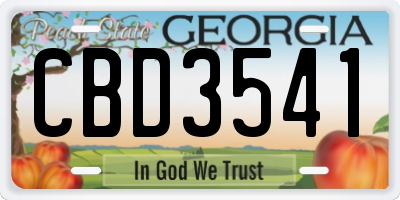 GA license plate CBD3541