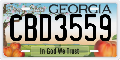 GA license plate CBD3559