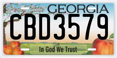 GA license plate CBD3579