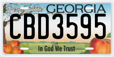 GA license plate CBD3595