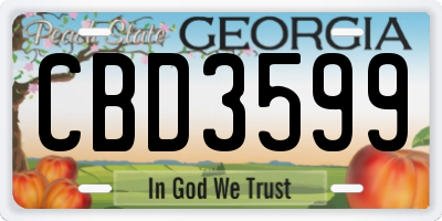 GA license plate CBD3599