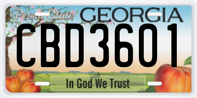 GA license plate CBD3601