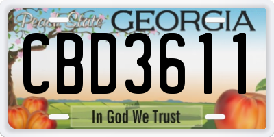 GA license plate CBD3611