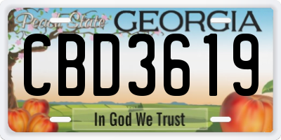GA license plate CBD3619