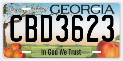 GA license plate CBD3623