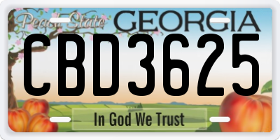 GA license plate CBD3625