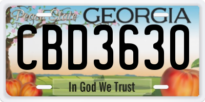 GA license plate CBD3630