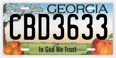 GA license plate CBD3633