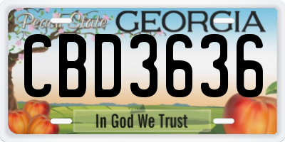 GA license plate CBD3636