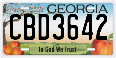 GA license plate CBD3642
