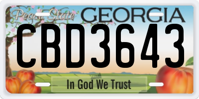 GA license plate CBD3643