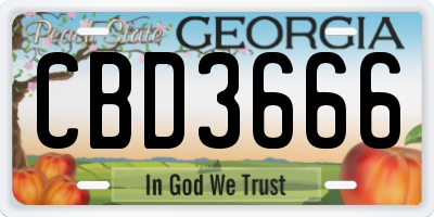 GA license plate CBD3666