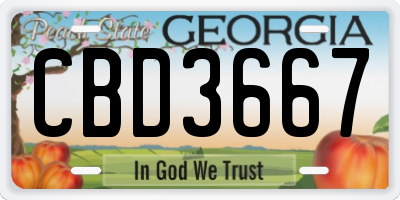 GA license plate CBD3667